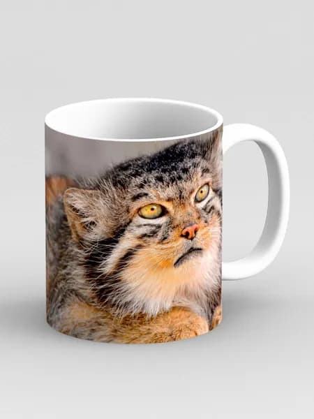 Кружка "Манул, кот"