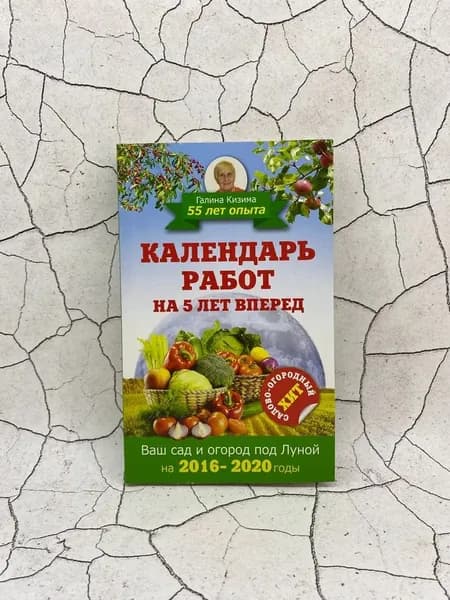 Календарь работ на 5 лет вперёд. | Кизима Галина Александровна | Книга б/у