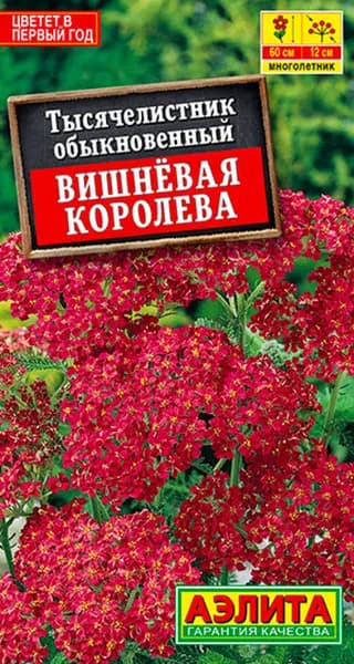 Семена Тысячелистник Вишневая Королева (0,1г) - Аэлита