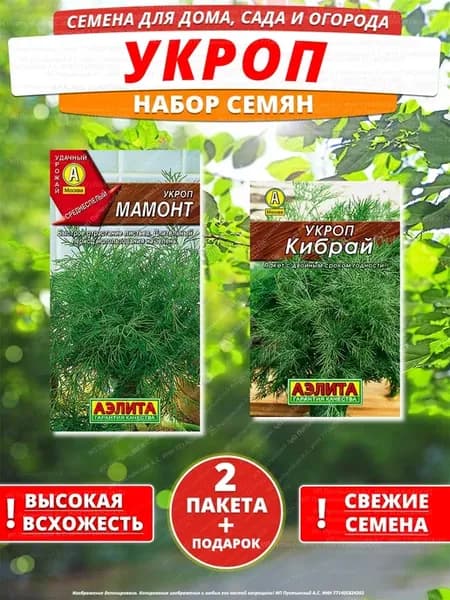 Семена укроп для дома сада посадки
