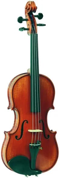 Скрипка Vasile Gliga P-V014