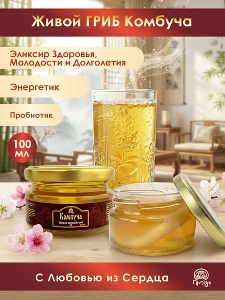 Чайный гриб Комбуча живой, закваска для выращивания, в растворе Иван-чая и мёда 100 г