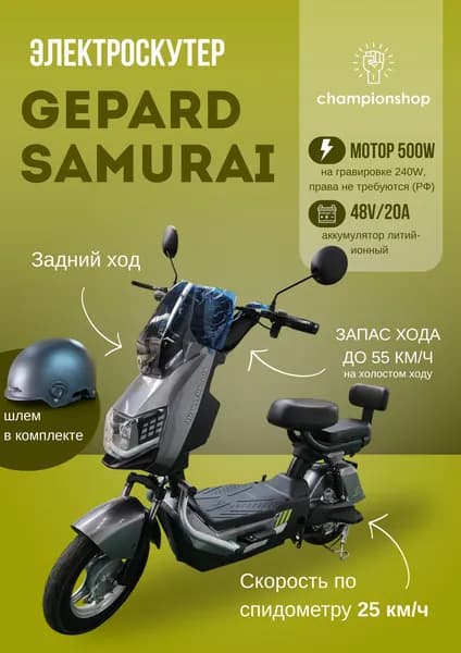 Электровелосипед Гепард Самурай 500 Вт гравировка 240 Вт 48V/20A