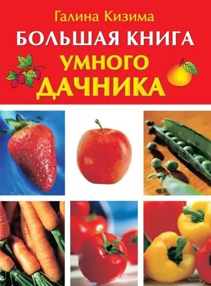 Большая книга умного дачника | Кизима Галина Александровна | Электронная книга