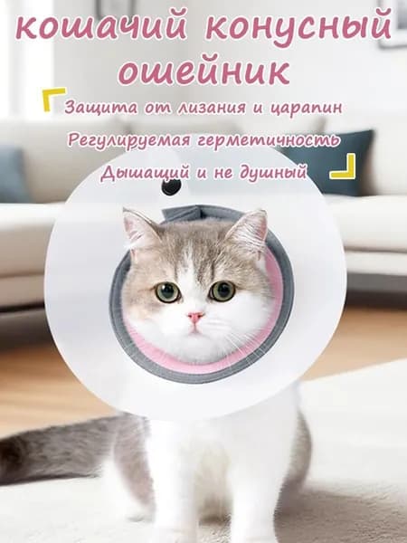 Ошейник для восстановления после укусов кошки