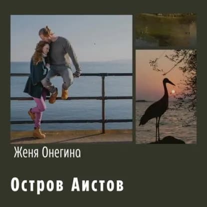 Остров аистов | Онегина Женя | Электронная аудиокнига