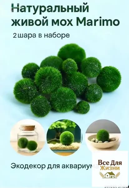 GM Шаровидная кладофора (мох маримо) 1см 2шт для аквариума и декора