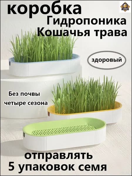 Эксклюзивный набор для проращивания кошачьей травы 5 пакетов-lepan