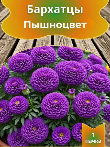 Бархатцы Пышноцвет, семена 10 шт.