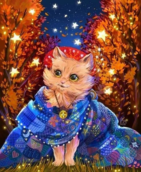 Алмазная мозаика со стразами Котик со звёздами/Выкладка полная/Размер холста 30х40 см/Размер картинки 25х35