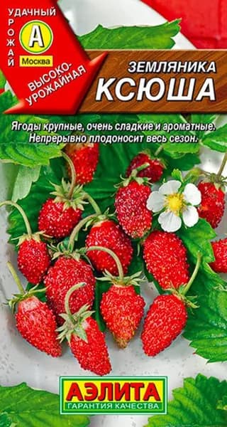 Семена Земляника Ксюша (0,04г) - Аэлита
