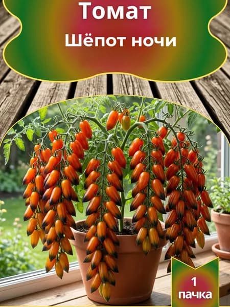 Томат Шёпот ночи, семена, 10 шт.
