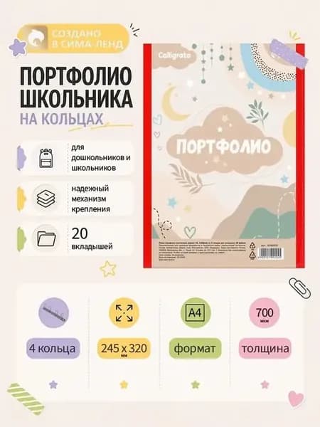 Пластиковая папка-портфолио с кольцами для школьника