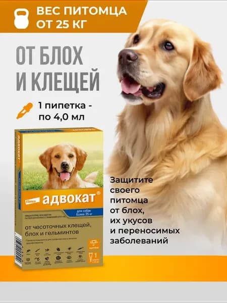Адвокат для собак массой более 25 кг, 1 пип