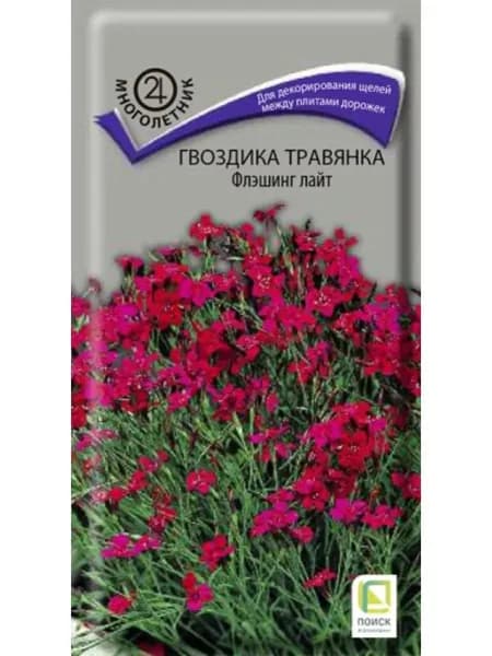 Семена Гвоздика травянка Флэшинг Лайт Поиск