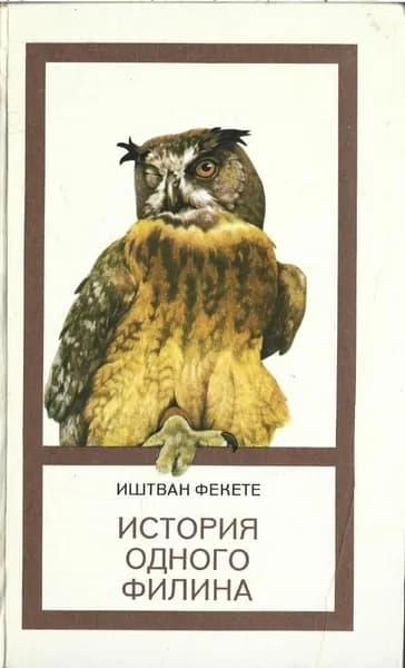 История одного филина