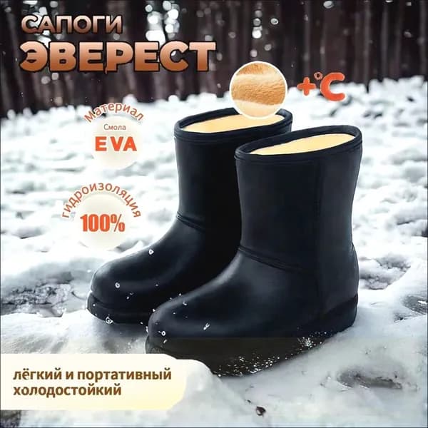 Сапоги