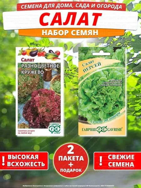 Семена салат для дома сада посадки
