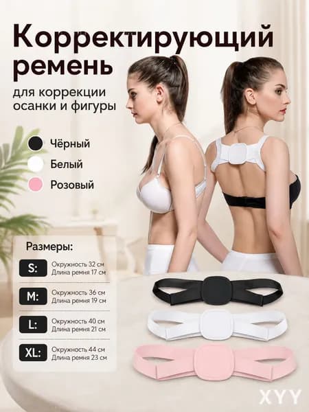 Тренажер для спины mzm-20260728110527773