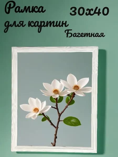 Рамка для картин 30х40
