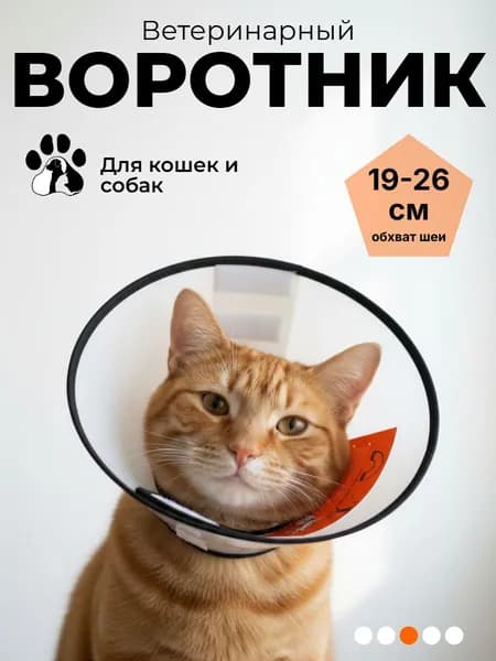 Воротник ветеринарный для кошек и собак послеоперационный на липучке "ЛЮБИМЫЙ БРО" защитный конус, для крупных кошек и мелких собак, обхват шеи 19-26 см (диаметр 38 см)