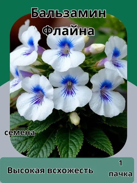 Бальзамин Флайна, семена 10шт