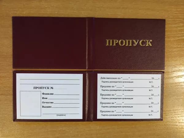 Пропуск бланк (10шт.), темно-бордовый, 95х65 мм