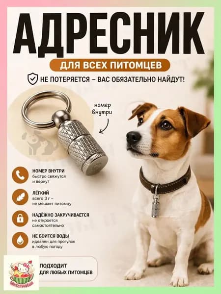 Капсулабрелок серебристая для кошек и собак, эксклюзивный миниадресник, одна штука