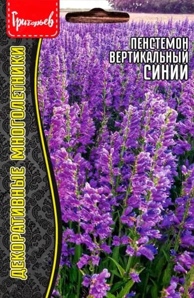 Пенстемон вертикаль Penstemon strictus (blue), семена 0,1г, 1 пакет, ЧК