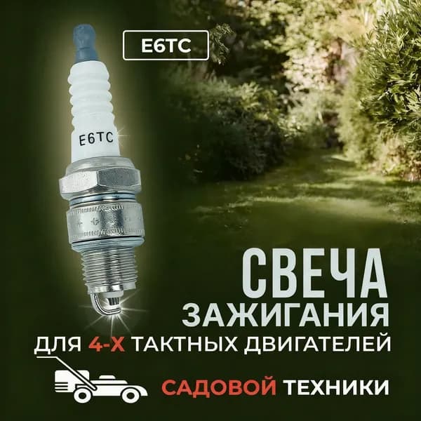Свеча зажигания арт. E6TC, 1 шт.