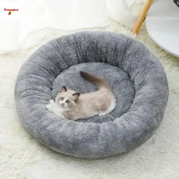 Лежаки Для Кошек С Теплыми Спинками - Идеальное Место Для Вашего Питомца В Холодные Дни
