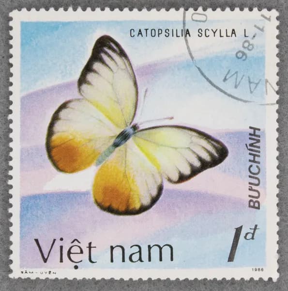 Почтовая марка "Catopsilia scylla". Номинал 1 d. Viet nam. 1987 год. (Michel VN 1802)