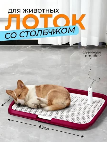 Лоток для собак под пеленку большой
