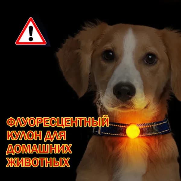 1шт ночная безопасная подвеска для домашних животных, светящаяся в темноте ночи с защитой от потери зоотоваров