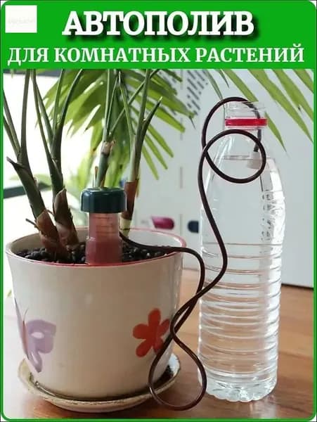 Автополив 0 л, 3 см, 2 шт, цвет бежевый