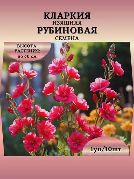Кларкия изящная "Рубиновая" семена, 1 пачка