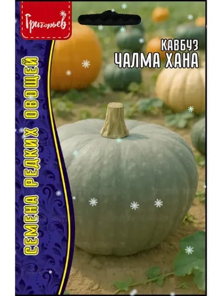 Семена Кавбуз Чалма Хана