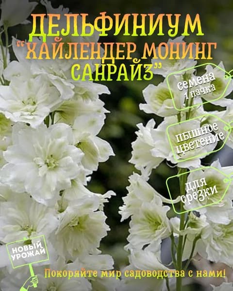 Дельфиниум Хайлендер Монинг Санрайз, семена, 10 шт.