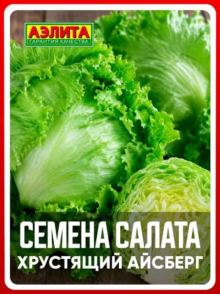 Семена салат "Хрустящий айсберг", 0,5 г, для дома, дачи и огорода, салат из семян, в открытый грунт