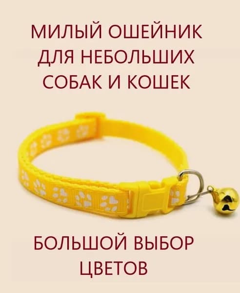 Ошейник