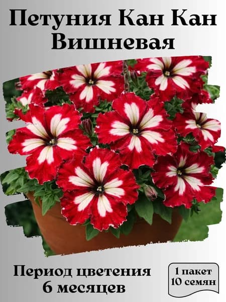 Петуния Кан Кан Вишневая, семена, 10 шт.