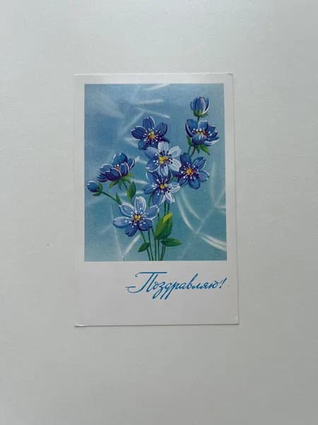 Винтажная открытка СССР "Поздравляю!". Художник О. Канищева. Издание 1988 года