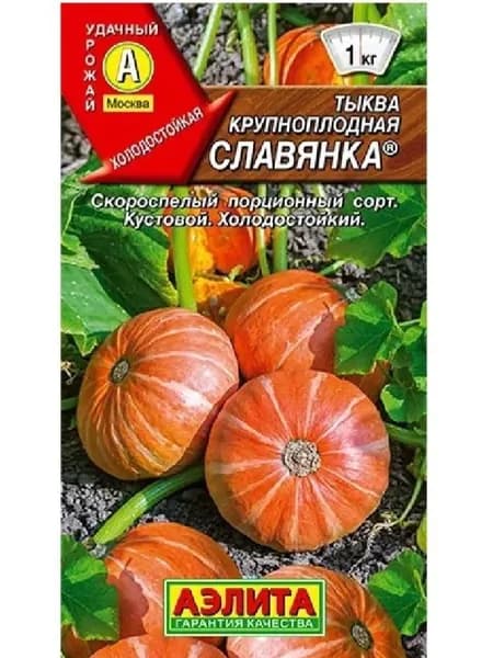 Тыква Славянка 1 гр. СКОРОСПЕЛАЯ, 80-90 дней! Кустовая! Порционная!