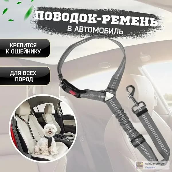 Ремень безопасности для собак
