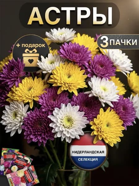 Аэлита Семена ,3шт