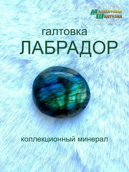 Лабрадор галтовка .