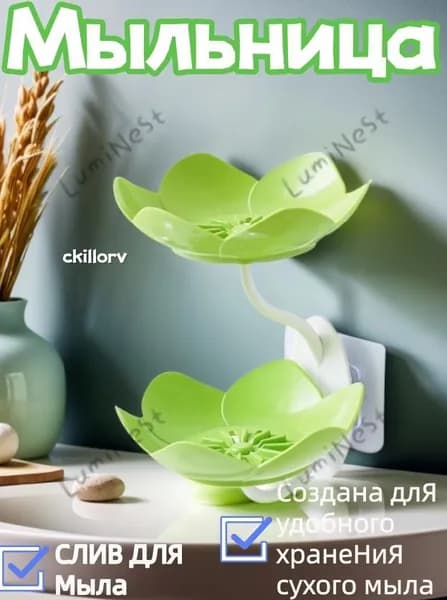 Мыльница