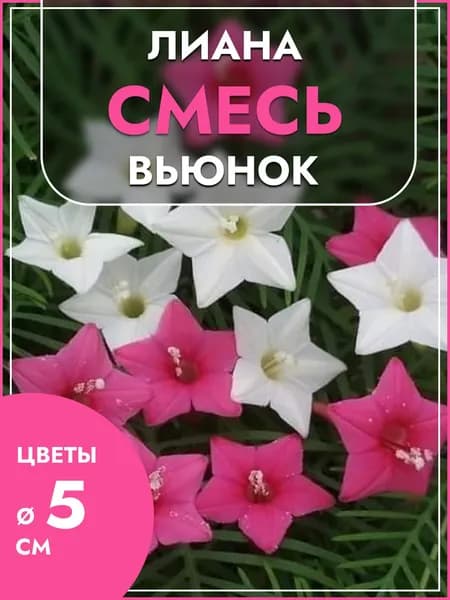 Вьюнок "Лиана Смесь" до 2 метров, семена Аэлита для быстрого озеленения беседки, забора, террас, перголы
