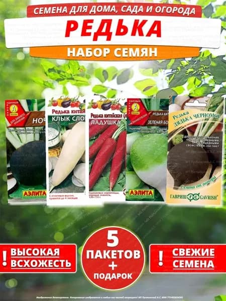 Семена редька для дома сада посадки