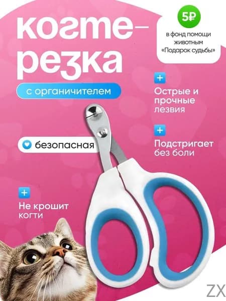 ZXКогтерез